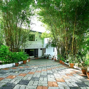 Homestay Magic, Munnar