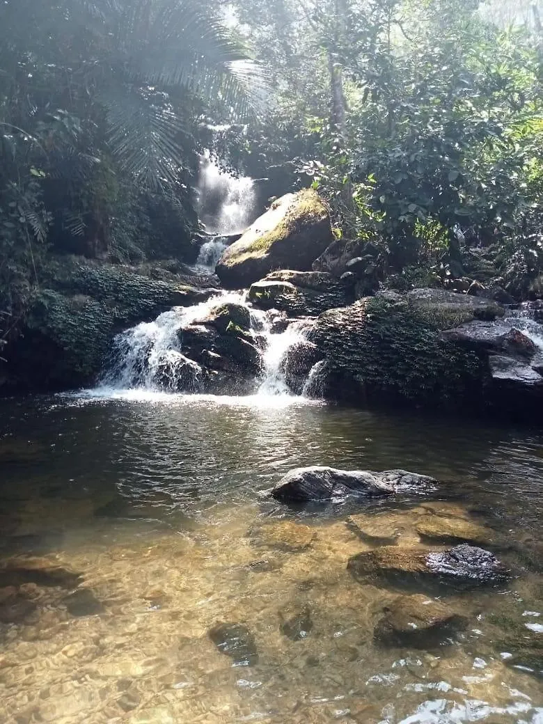 Apartmán Farm Shed Munnar Adimali Indie