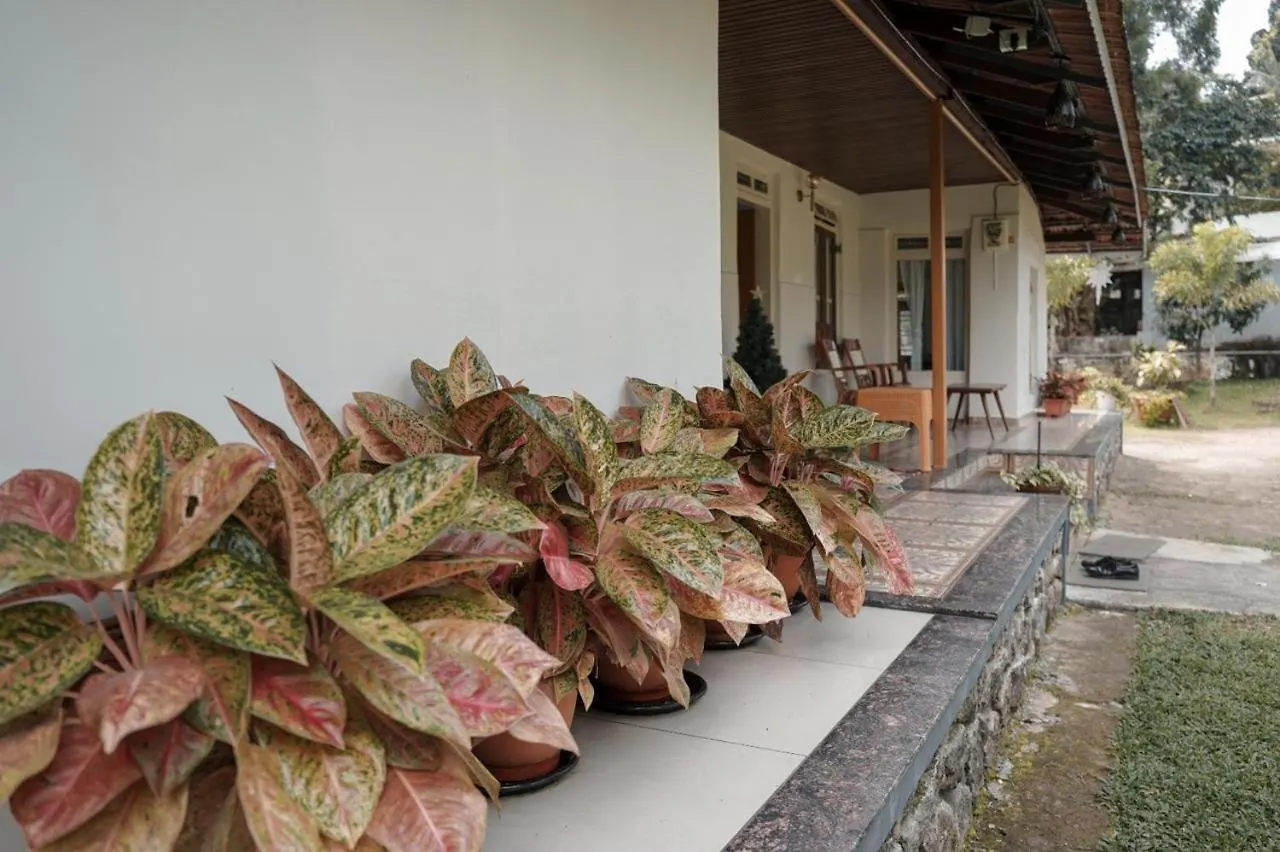 Farm Shed Munnar Adimali Apartment