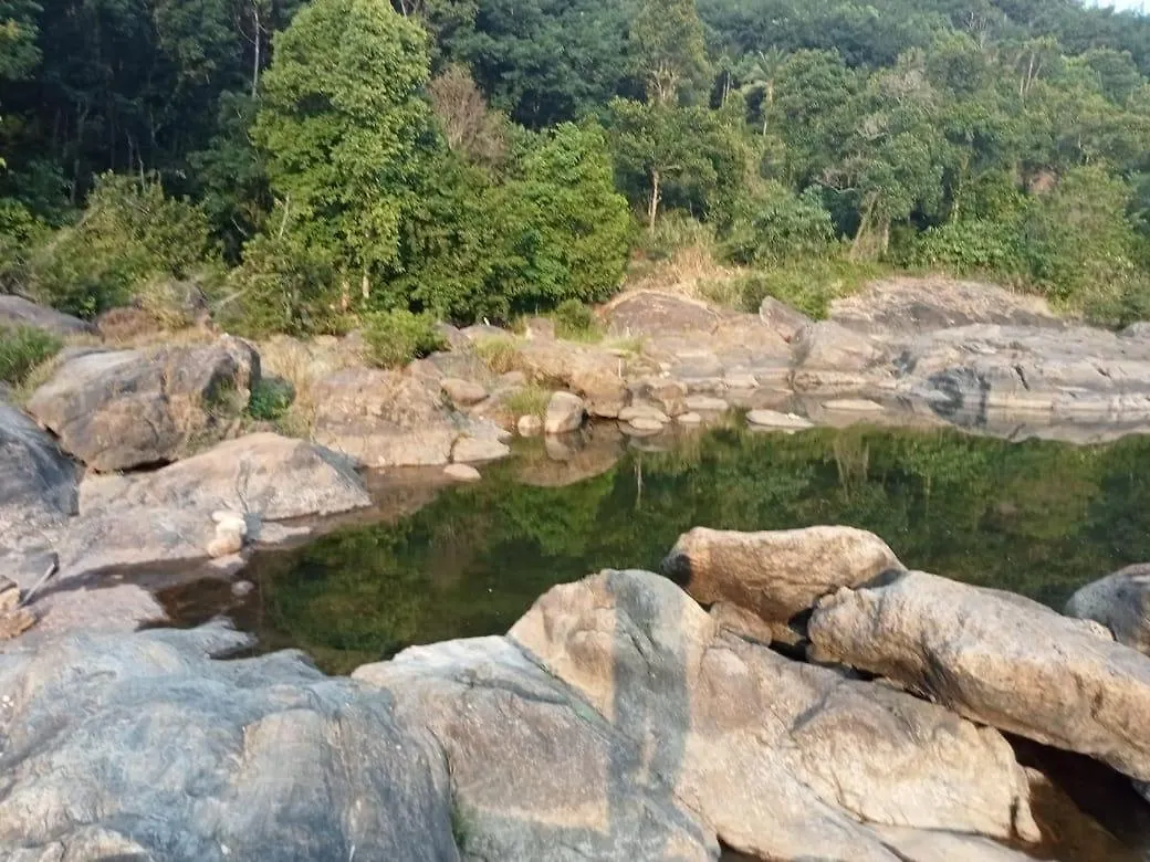 Farm Shed Munnar Adimali Apartment Homestay