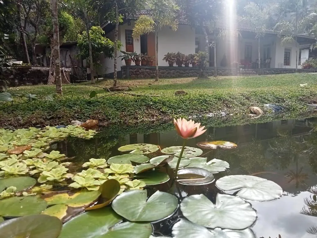 Homestay Farm Shed Munnar Adimali Apartment India