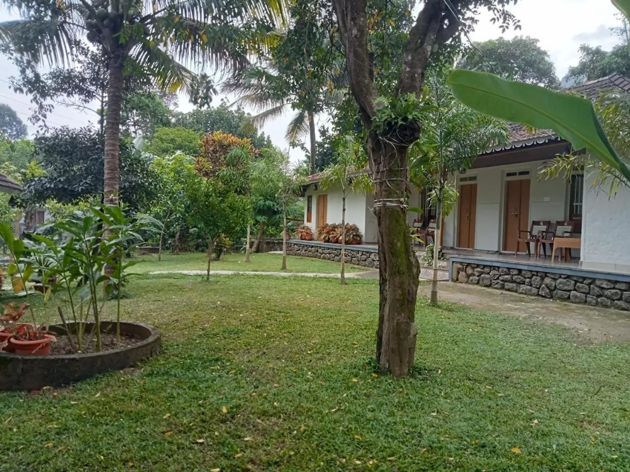 Farm Shed Munnar Adimali Apartment 0*,  India